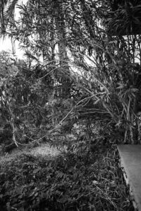 [ T ] essere N.01 — fotografia d'arte in edizione limitata di Andrea Piunti