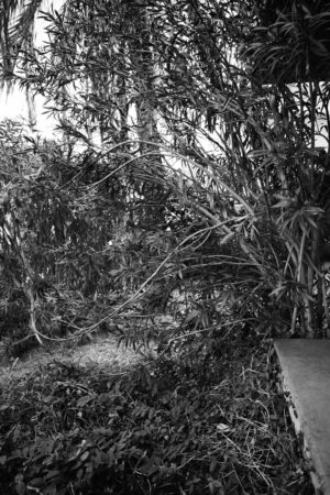 [ T ] essere N.01 — fotografia d'arte in edizione limitata di Andrea Piunti