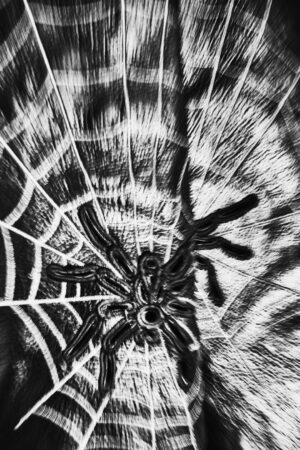 [ T ] essere N.94 — fotografia d'arte in edizione limitata di Andrea Piunti