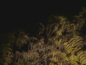 AW26 N.01 — fotografia d'arte in edizione limitata di Andrea Piunti