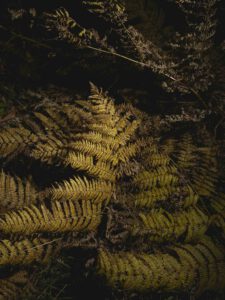 AW26 N.02 — fotografia d'arte in edizione limitata di Andrea Piunti