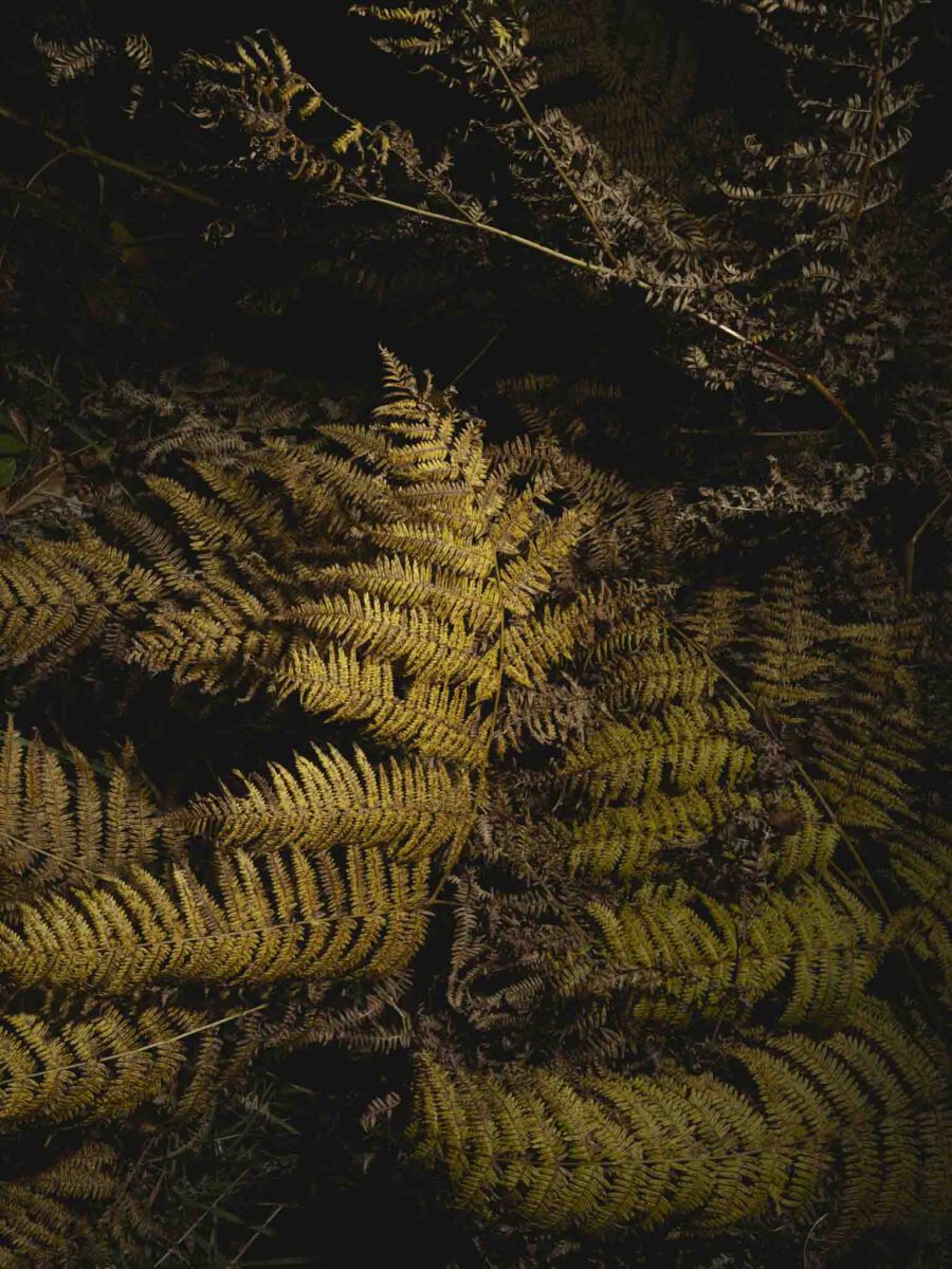 AW26 N.02 — fotografia d'arte in edizione limitata di Andrea Piunti