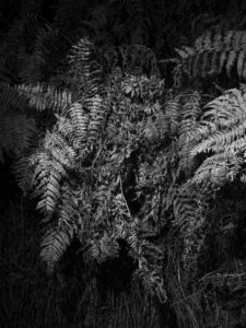 AW26 N.03 — fotografia d'arte in edizione limitata di Andrea Piunti