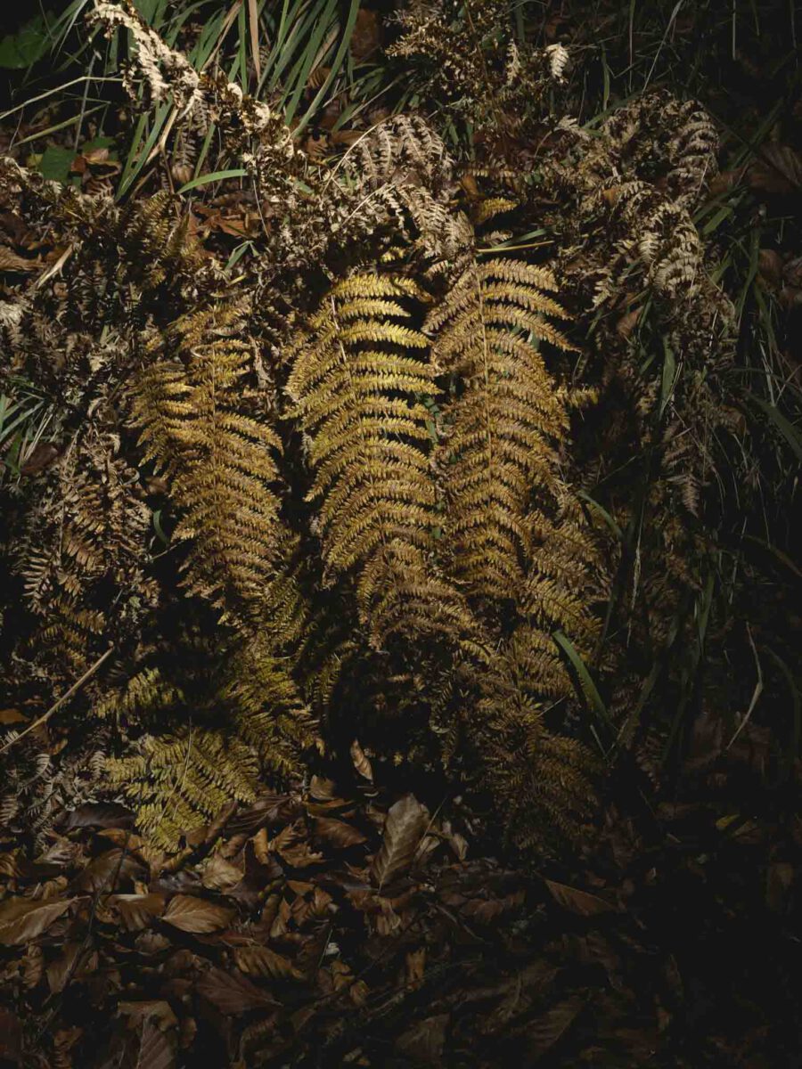 AW26 N.04 — fotografia d'arte in edizione limitata di Andrea Piunti