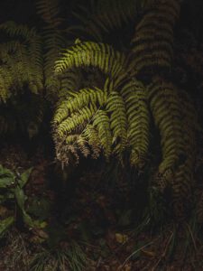 AW26 N.05 — fotografia d'arte in edizione limitata di Andrea Piunti