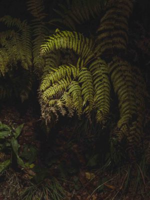 AW26 N.05 — fotografia d'arte in edizione limitata di Andrea Piunti