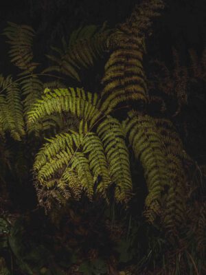 AW26 N.06 — fotografia d'arte in edizione limitata di Andrea Piunti