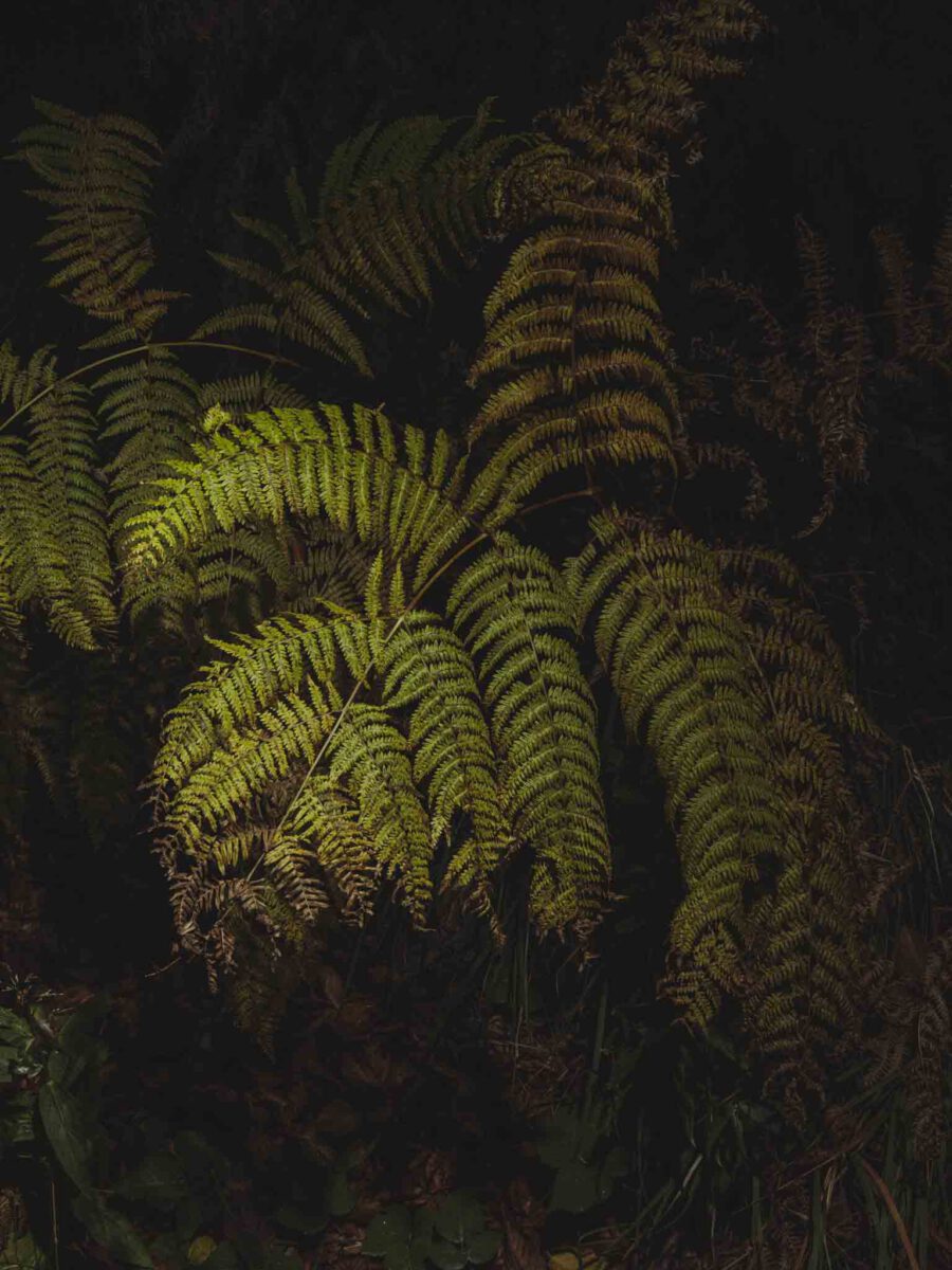 AW26 N.06 — fotografia d'arte in edizione limitata di Andrea Piunti
