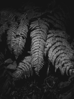 AW26 N.07 — fotografia d'arte in edizione limitata di Andrea Piunti