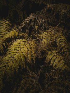 AW26 N.09 — fotografia d'arte in edizione limitata di Andrea Piunti