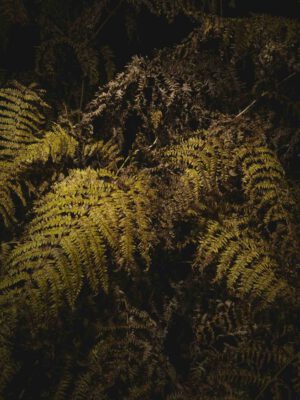 AW26 N.09 — fotografia d'arte in edizione limitata di Andrea Piunti