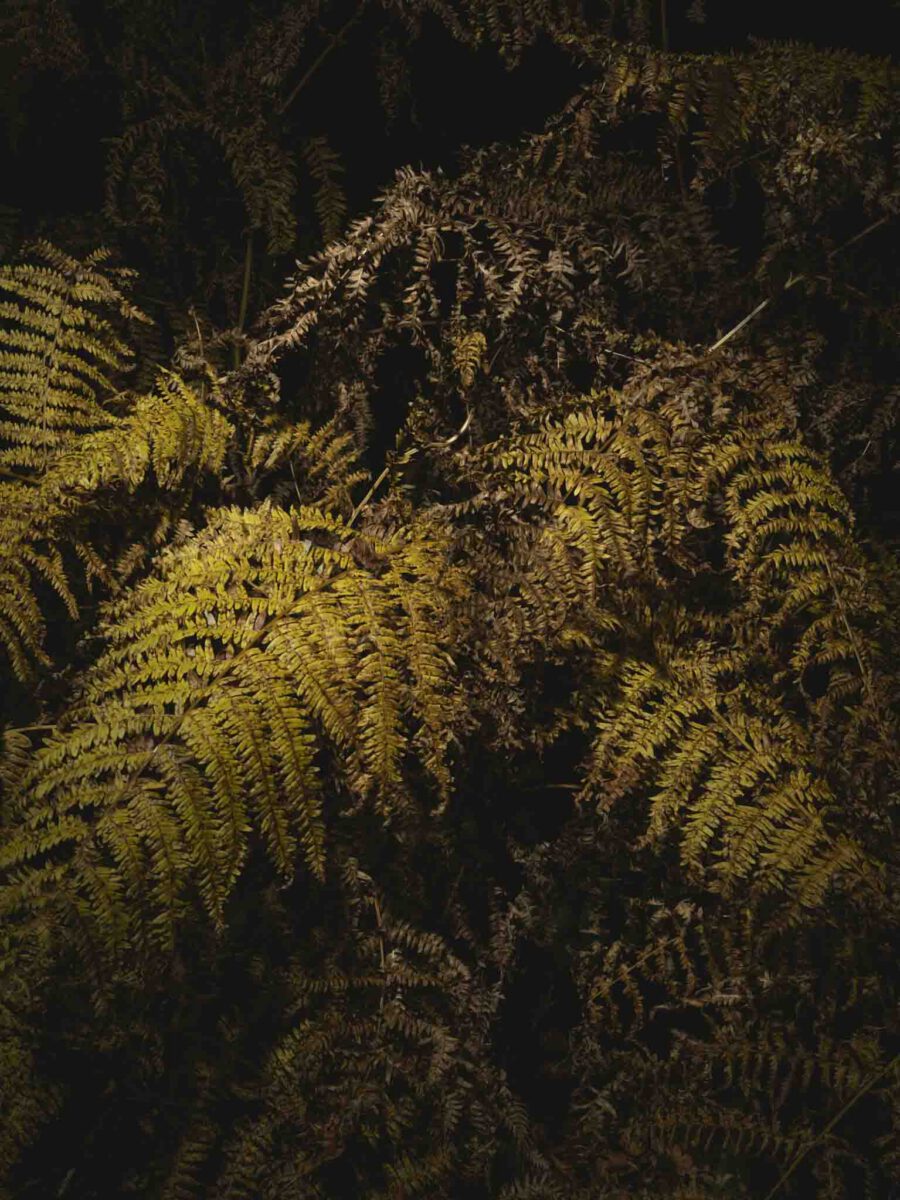 AW26 N.09 — fotografia d'arte in edizione limitata di Andrea Piunti