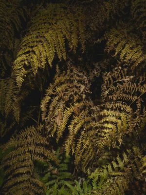 AW26 N.10 — fotografia d'arte in edizione limitata di Andrea Piunti