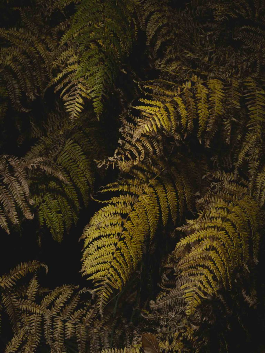 AW26 N.11 — fotografia d'arte in edizione limitata di Andrea Piunti