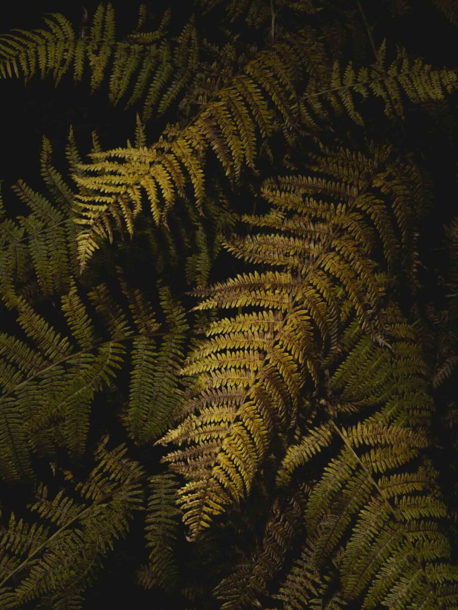 AW26 N.12 — fotografia d'arte in edizione limitata di Andrea Piunti