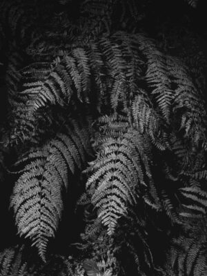 AW26 N.13 — fotografia d'arte in edizione limitata di Andrea Piunti