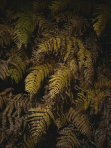 AW26 N.14 — fotografia d'arte in edizione limitata di Andrea Piunti