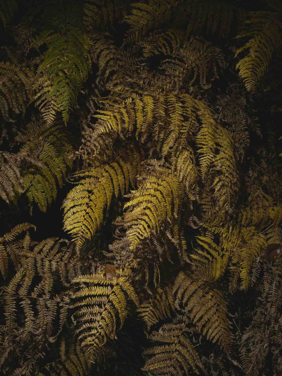 AW26 N.14 — fotografia d'arte in edizione limitata di Andrea Piunti