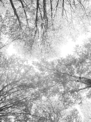 CAROUSEL N.03 — fotografia d'arte in edizione limitata di Andrea Piunti