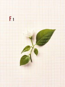 F.O.O.D. 01 — fotografia d'arte in edizione limitata di Andrea Piunti