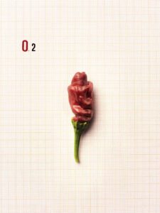F.O.O.D. 02 — fotografia d'arte in edizione limitata di Andrea Piunti
