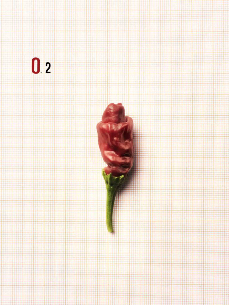 F.O.O.D. 02 — fotografia d'arte in edizione limitata di Andrea Piunti