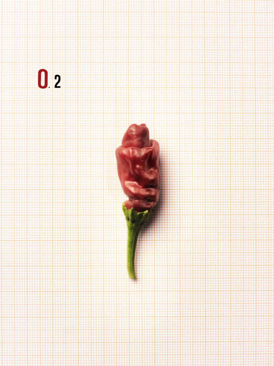 F.O.O.D. 02 — fotografia d'arte in edizione limitata di Andrea Piunti