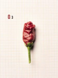 F.O.O.D. 03 — fotografia d'arte in edizione limitata di Andrea Piunti