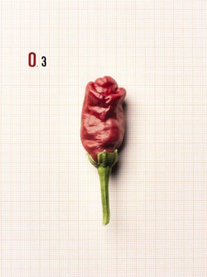 F.O.O.D. 03 — fotografia d'arte in edizione limitata di Andrea Piunti
