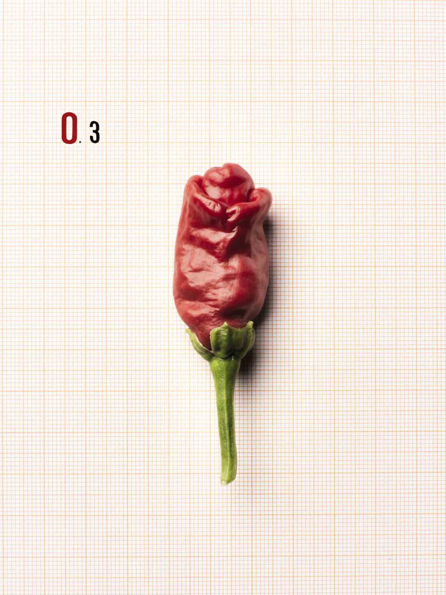 F.O.O.D. 03 — fotografia d'arte in edizione limitata di Andrea Piunti