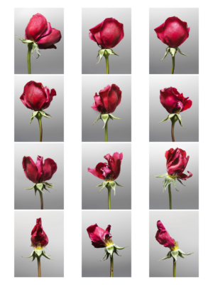 Mon Amour — fotografia d'arte in edizione limitata di Andrea Piunti