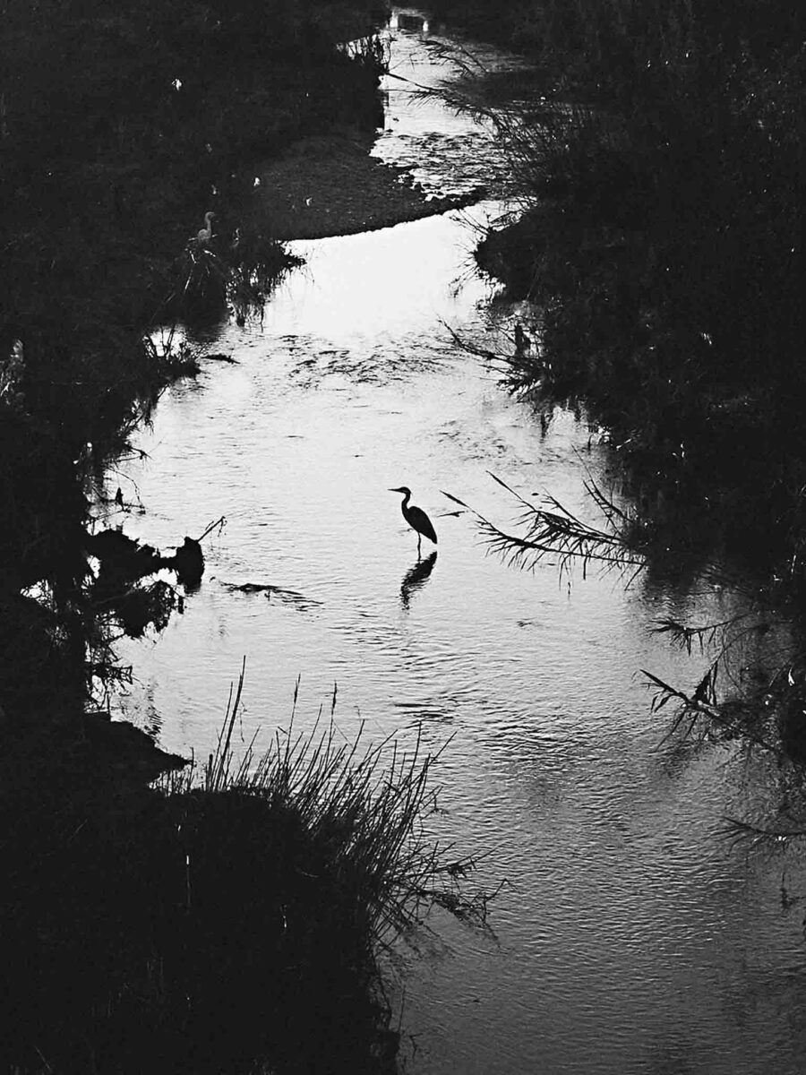 The Shape Of Water N.03 — fotografia d'arte in edizione limitata di Andrea Piunti