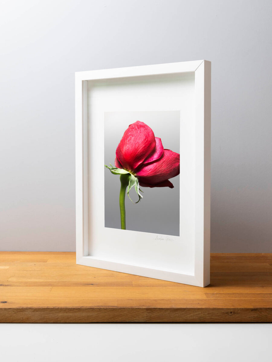 Tessere Fine art Mone Amour 1 - immagine 4