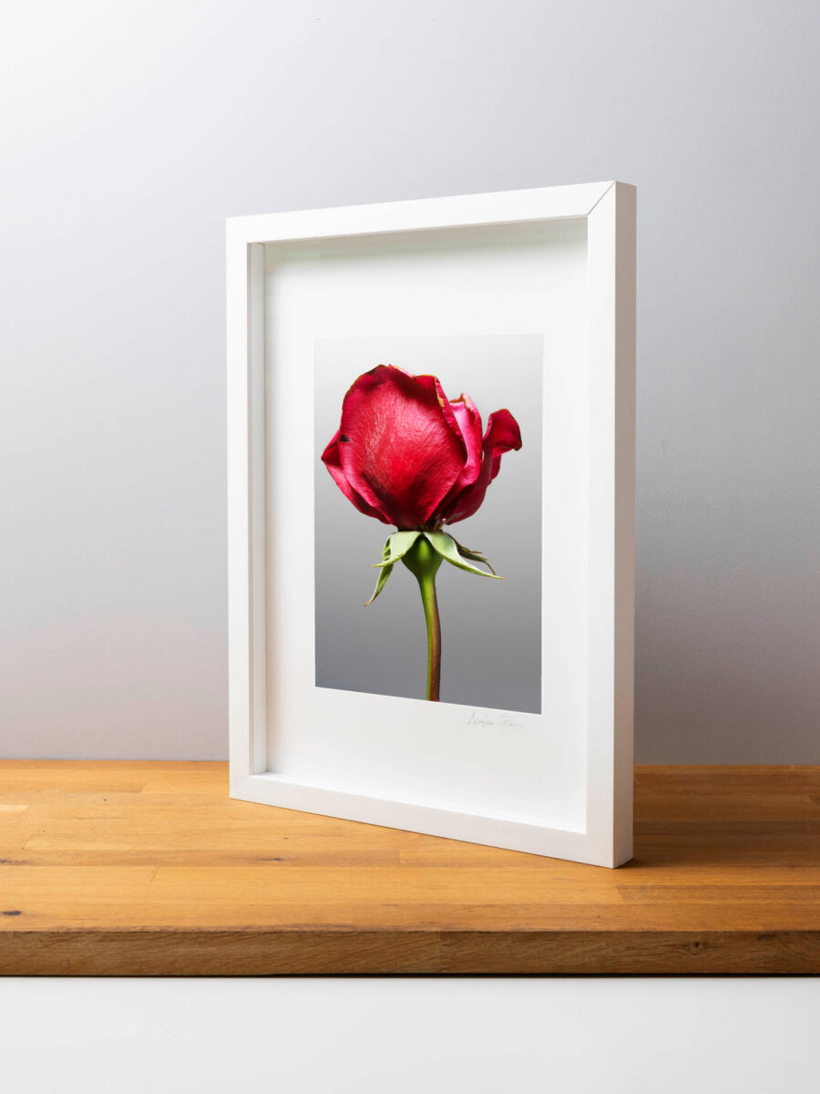 Tessere Fine art Mone Amour 4 - immagine 4