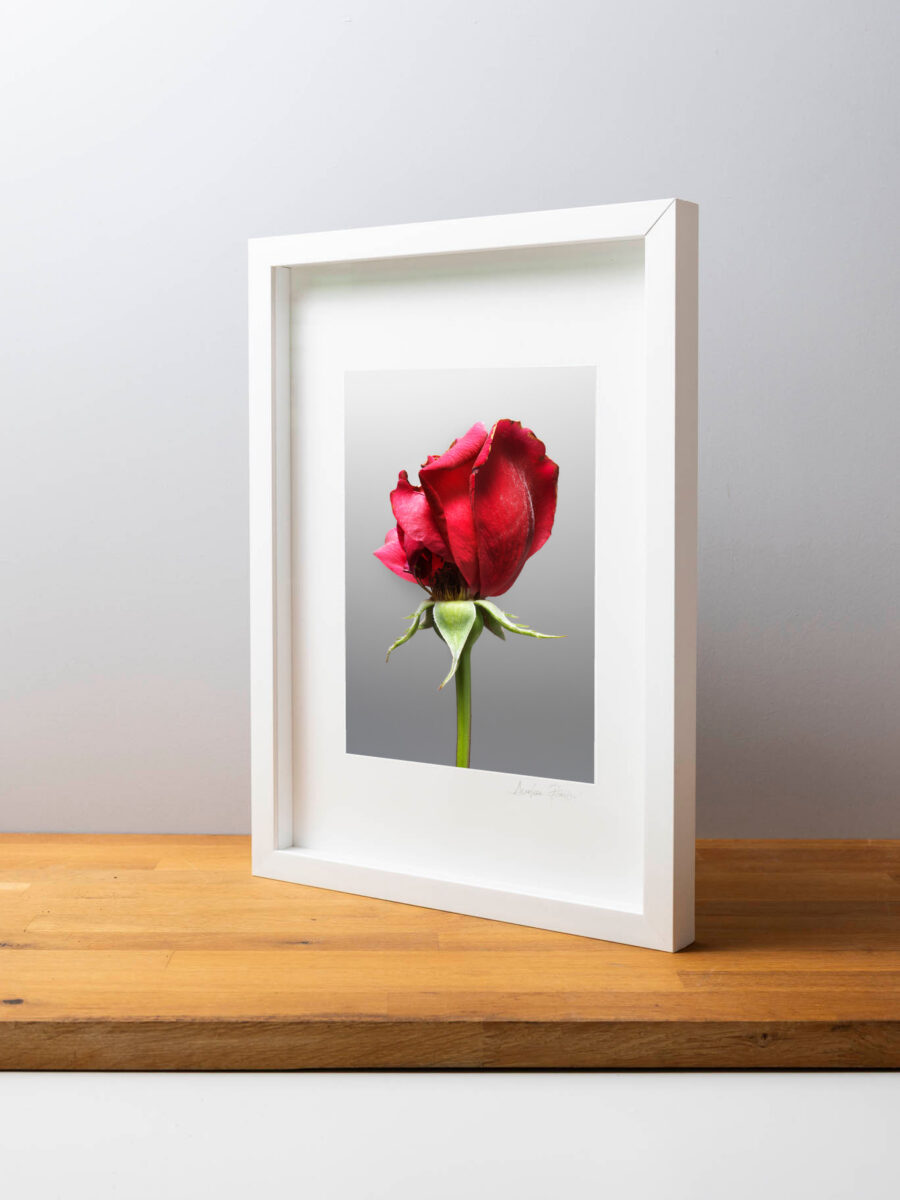 Tessere Fine art Mone Amour 5 - immagine 4
