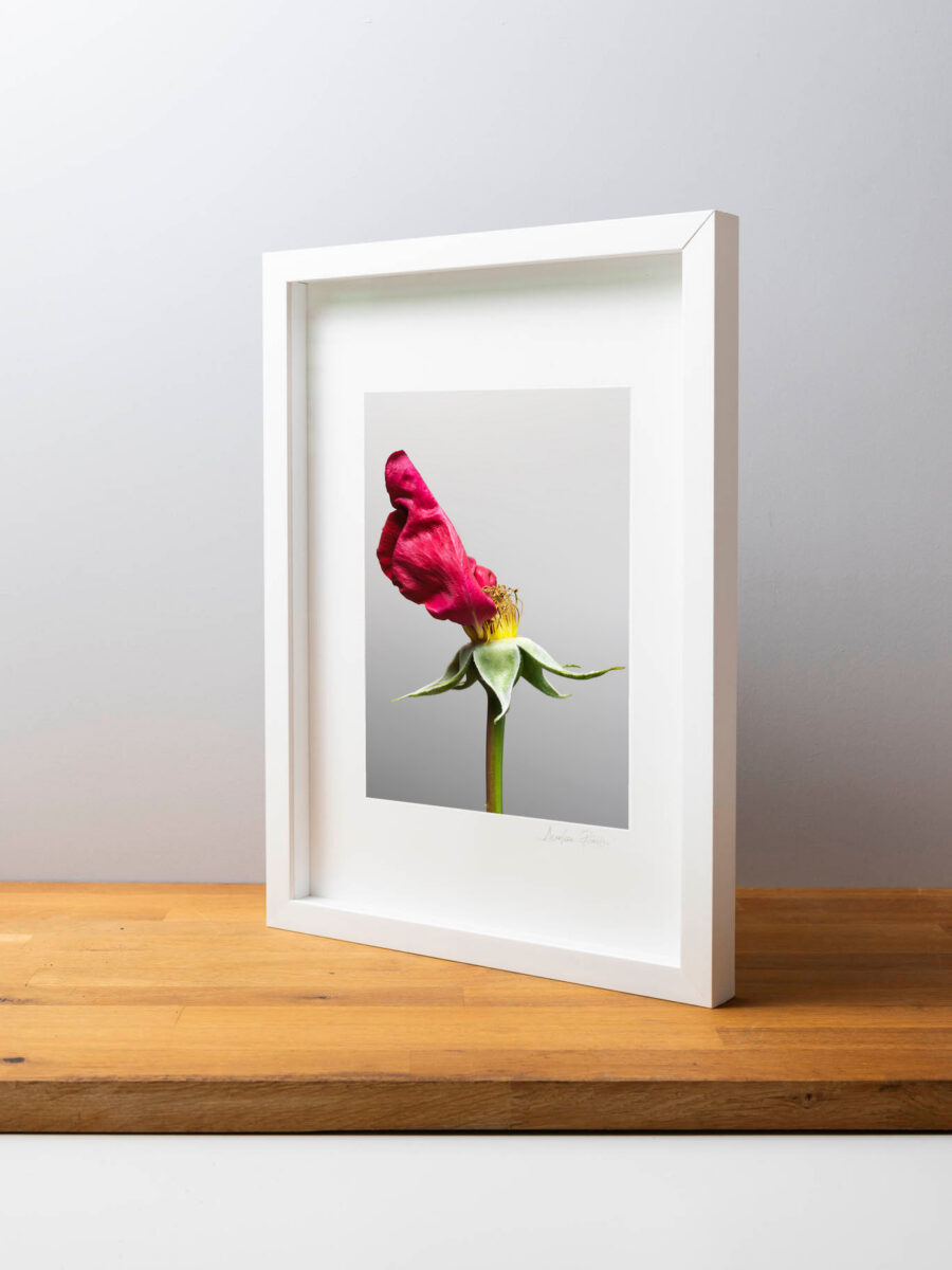 Tessere Fine art Mone Amour 11 - immagine 4