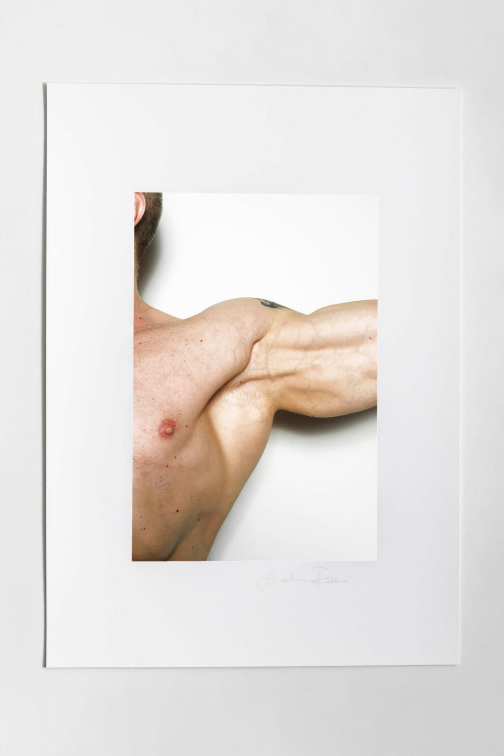 Tessere Fine art Regimental 35 - immagine 2