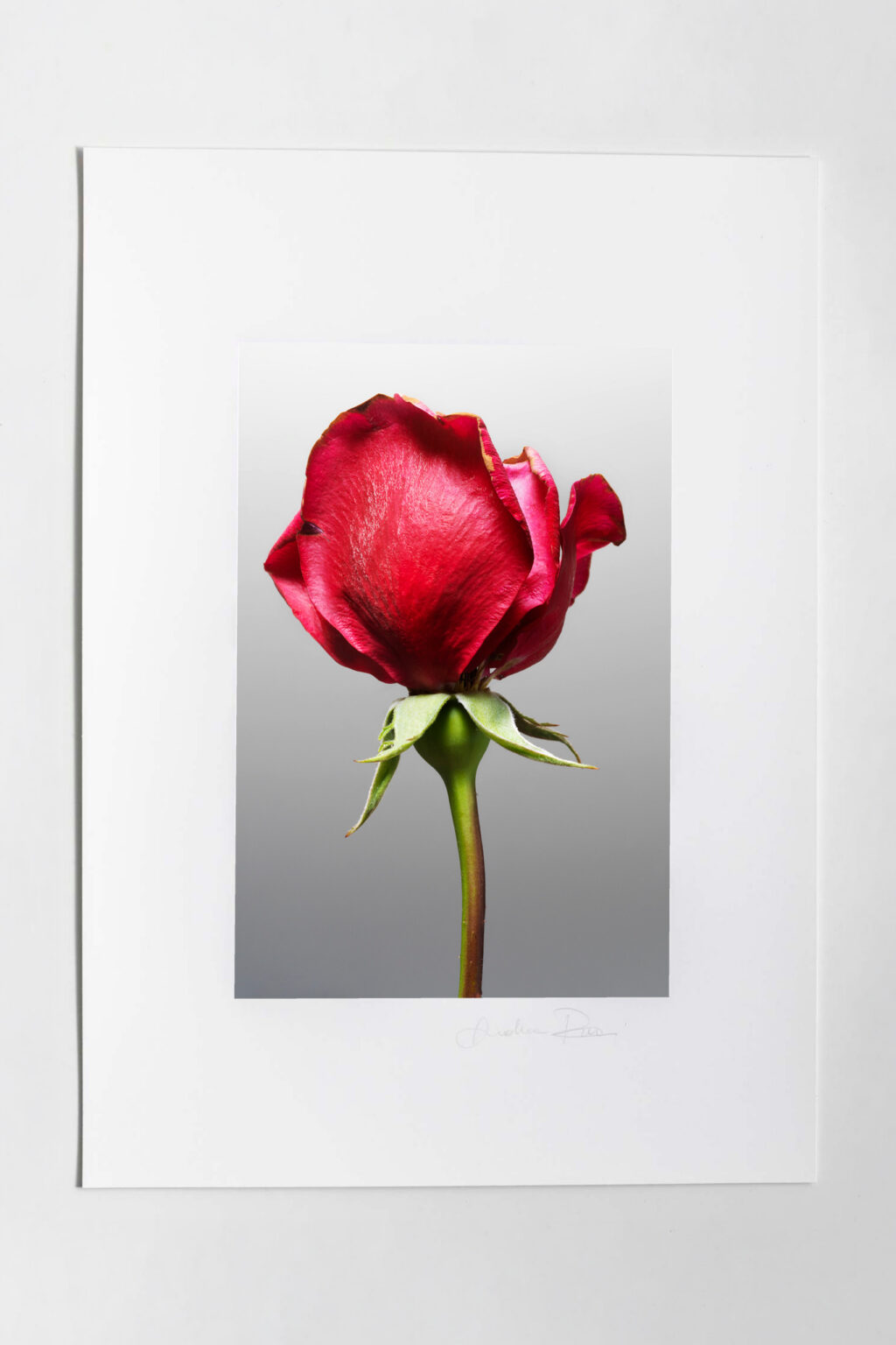 Tessere Fine art Mone Amour 4 - immagine 2