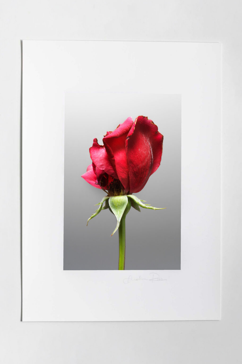 Tessere Fine art Mone Amour 5 - immagine 2