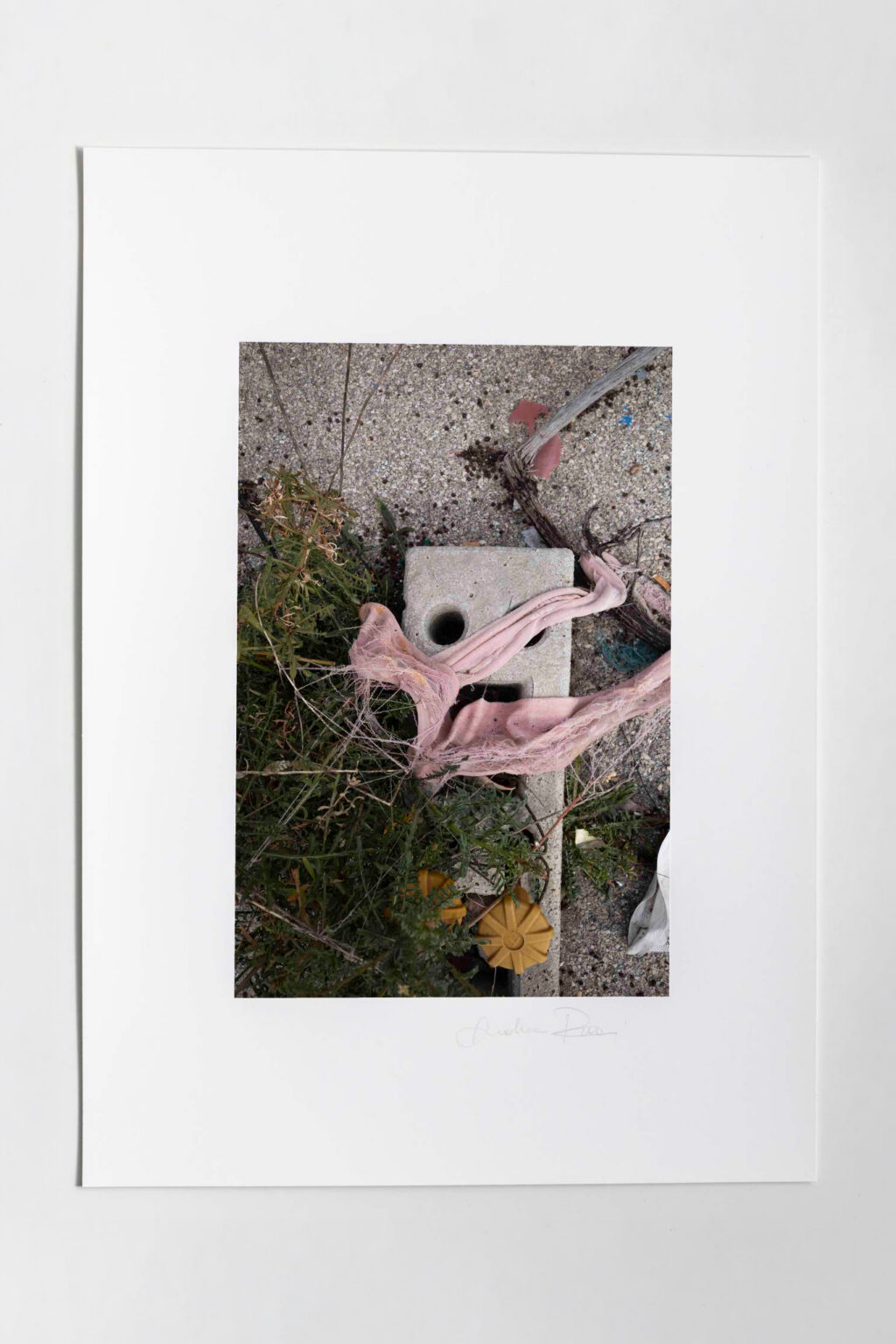 Bob_1 - immagine 2