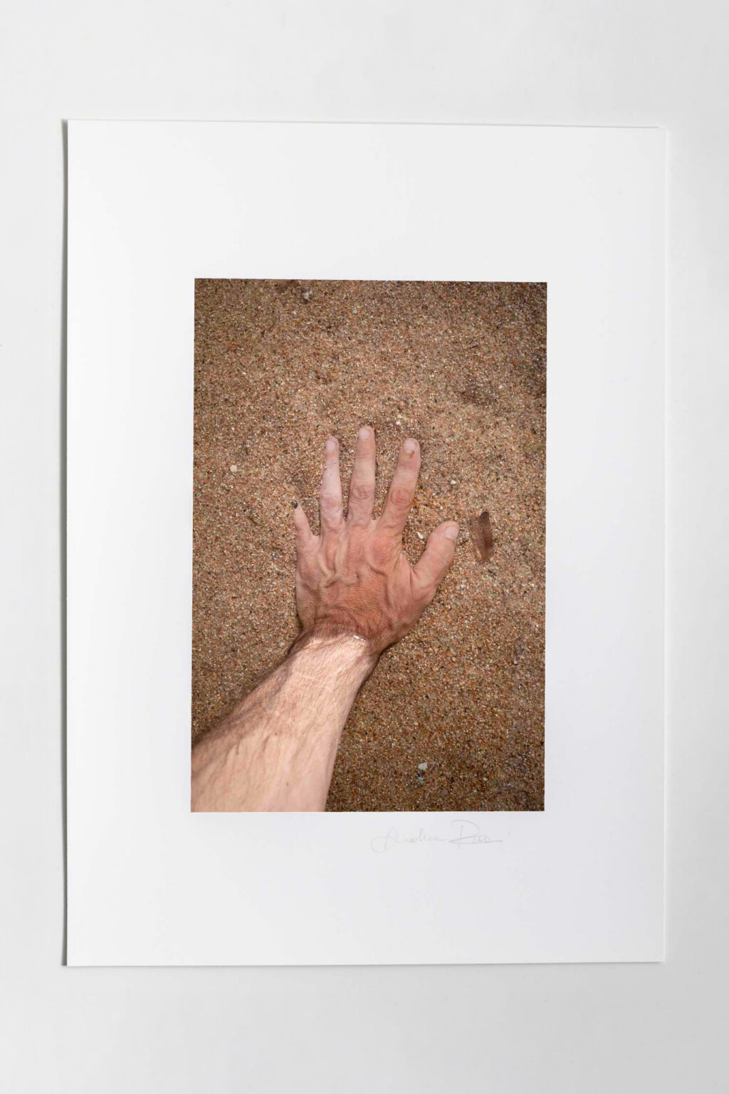 Mondadori Exhibition N.13 - immagine 2