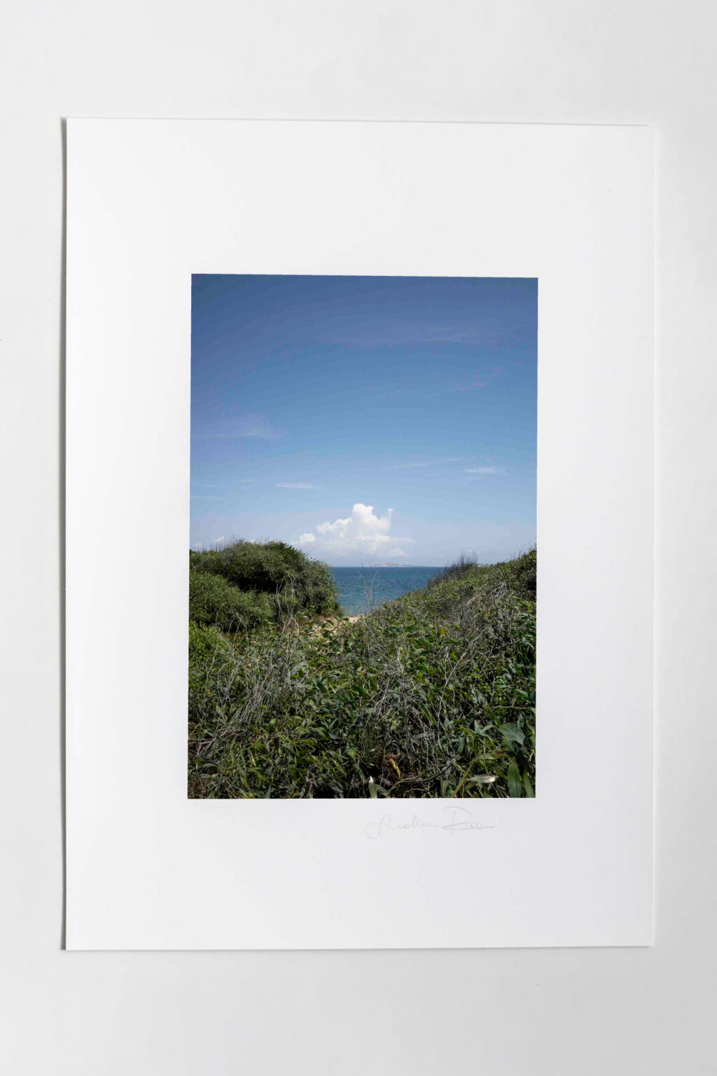 Mondadori Exhibition N.14 - immagine 2