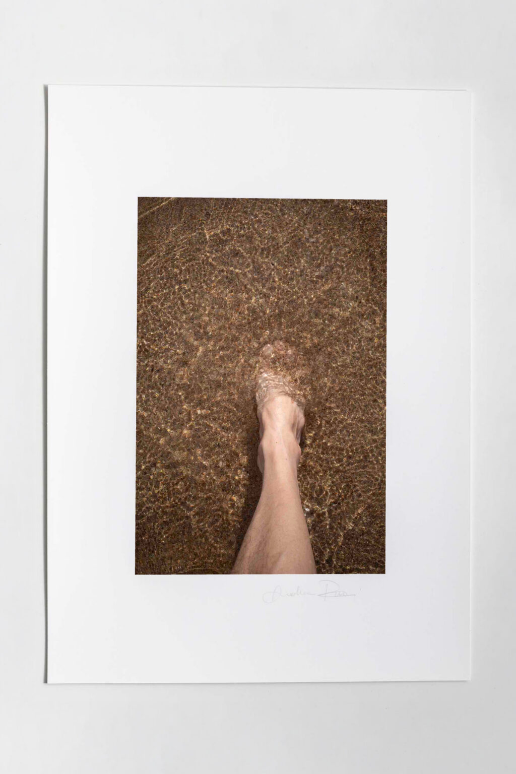Mondadori Exhibition N.15 - immagine 2