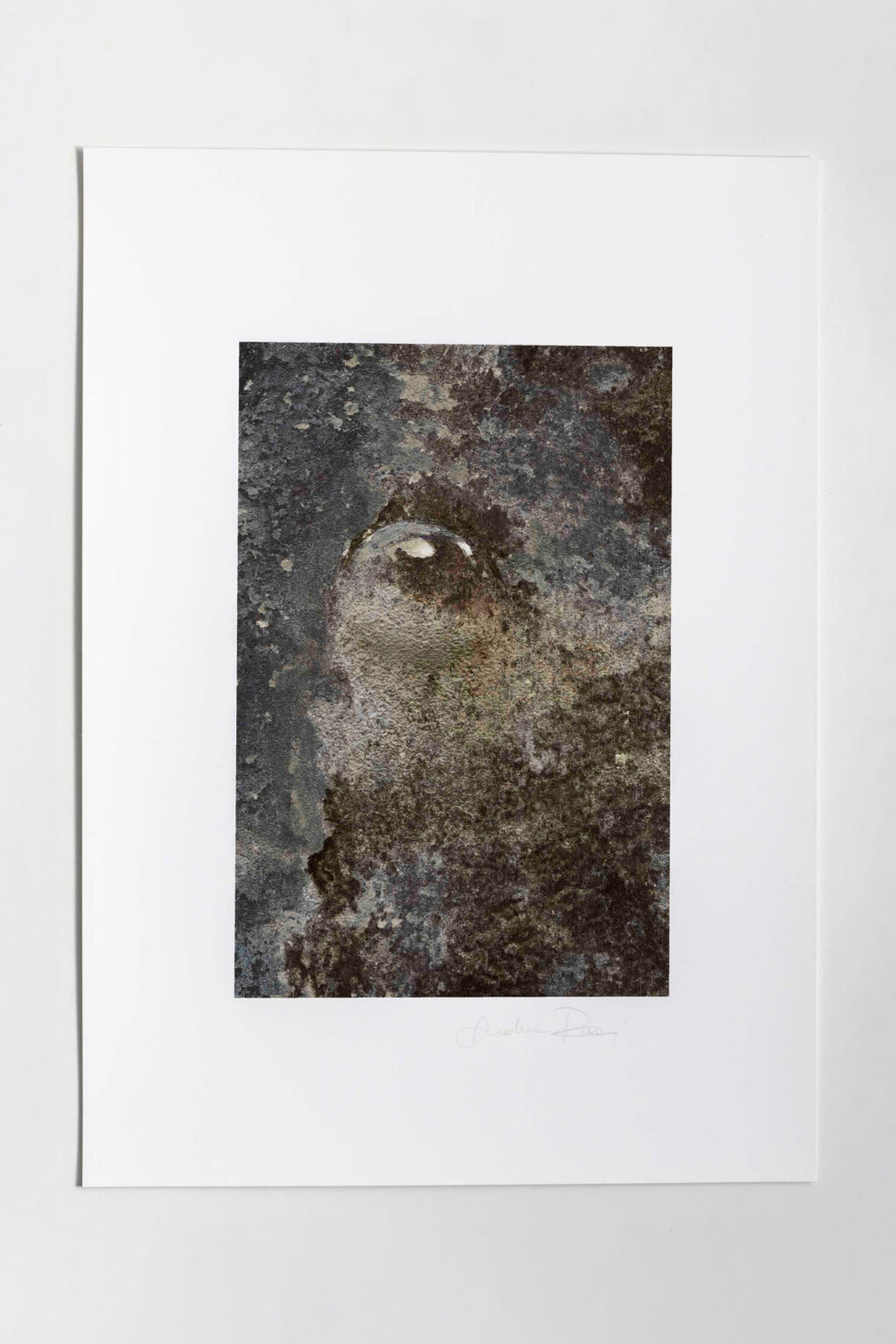 Mondadori Exhibition N.16 - immagine 2
