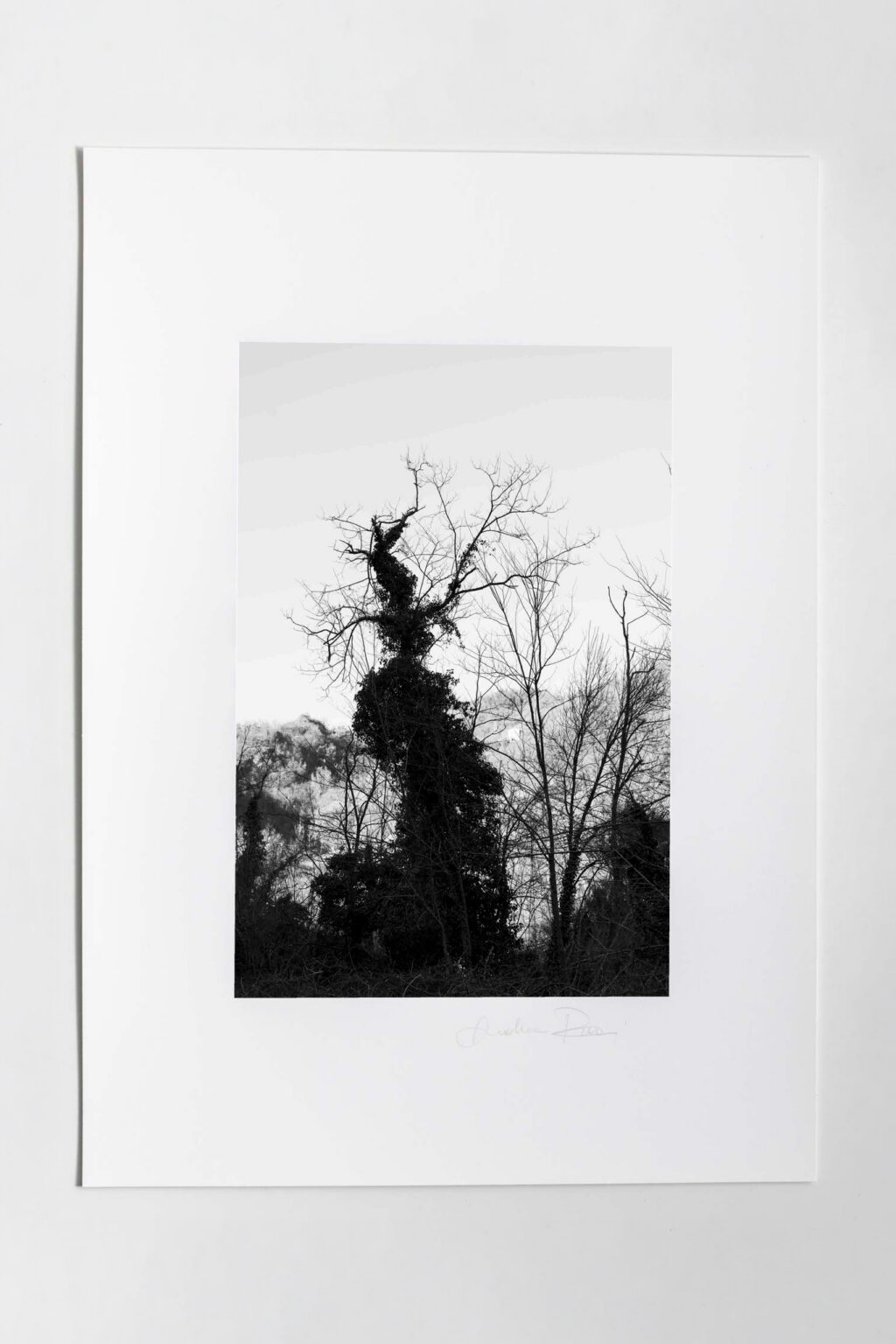Mondadori Exhibition N.17 - immagine 2